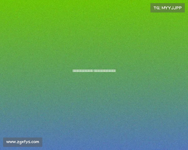 河南队史首次闯入足协杯决赛 点球大战淘汰成都书写辉煌篇章